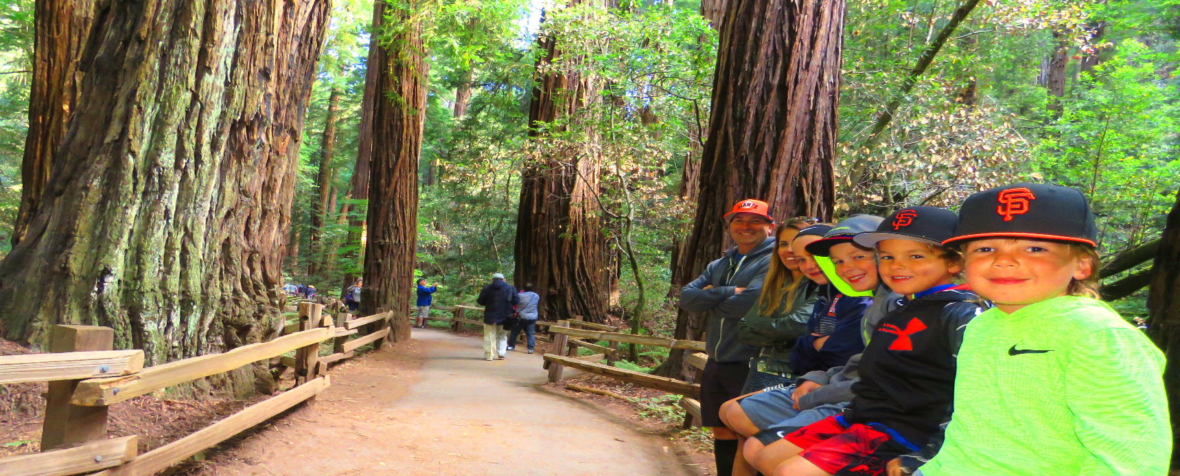 Muir Woods  Park Giant Redwoods Private Tour from San Francisco